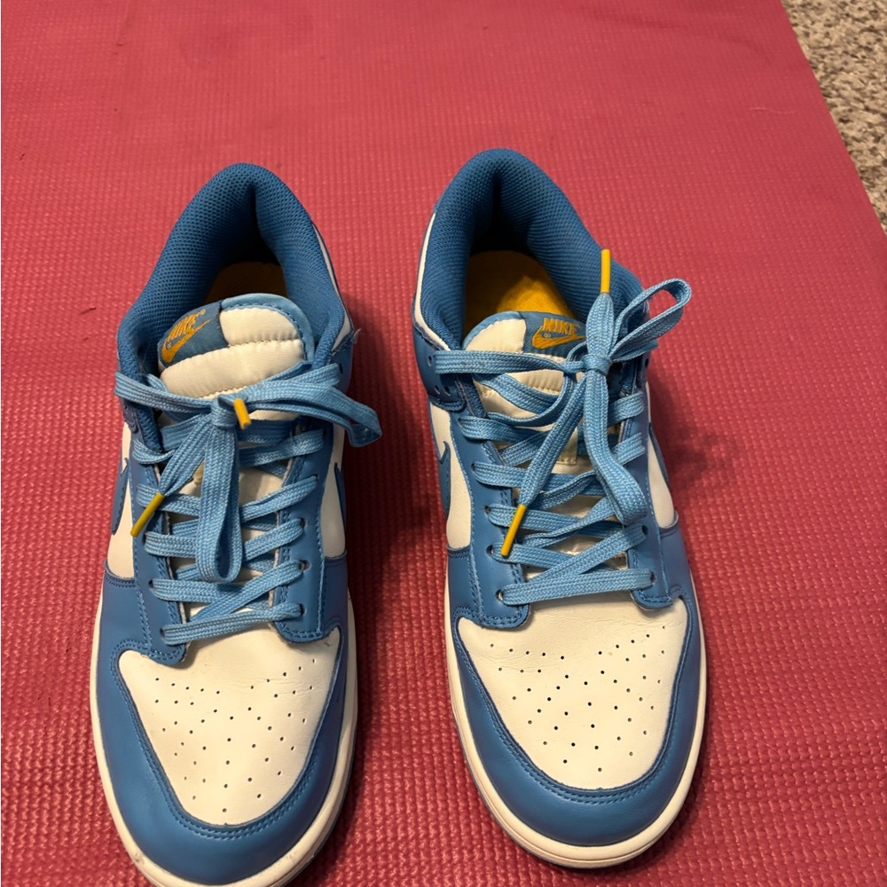 Nike Dunk Low Coast sneakers